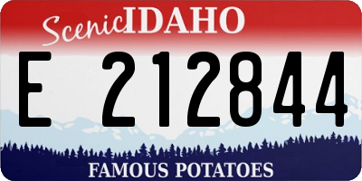 ID license plate E212844