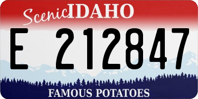 ID license plate E212847