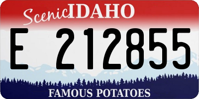 ID license plate E212855