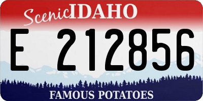 ID license plate E212856