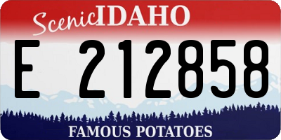 ID license plate E212858