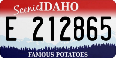 ID license plate E212865
