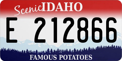 ID license plate E212866