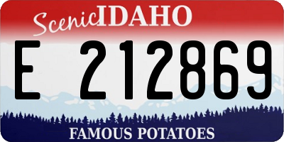 ID license plate E212869