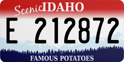 ID license plate E212872