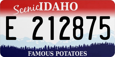 ID license plate E212875