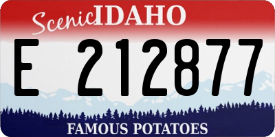 ID license plate E212877