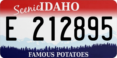 ID license plate E212895