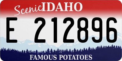 ID license plate E212896