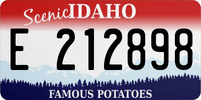 ID license plate E212898