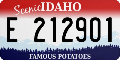 ID license plate E212901