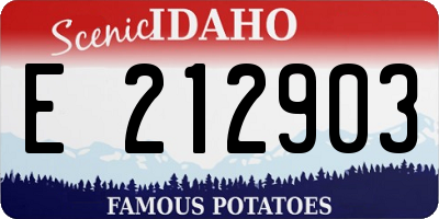 ID license plate E212903
