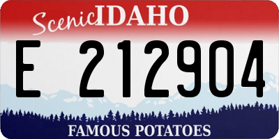 ID license plate E212904