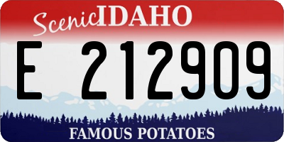 ID license plate E212909