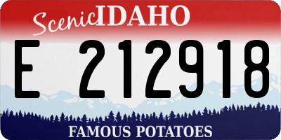 ID license plate E212918