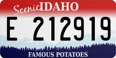 ID license plate E212919