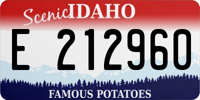 ID license plate E212960
