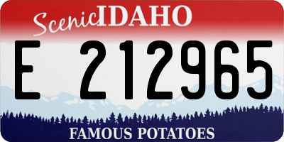 ID license plate E212965