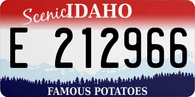 ID license plate E212966