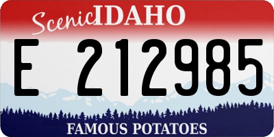 ID license plate E212985