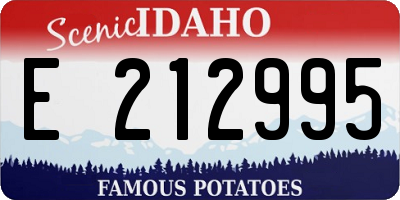 ID license plate E212995