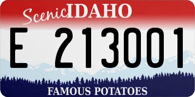 ID license plate E213001