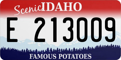 ID license plate E213009