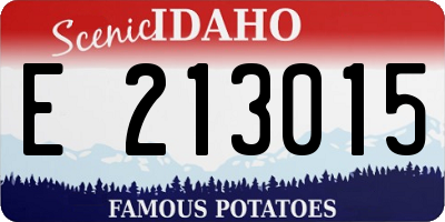 ID license plate E213015