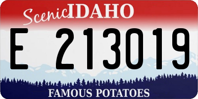 ID license plate E213019