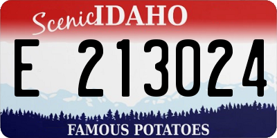 ID license plate E213024