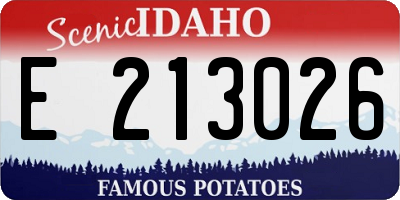 ID license plate E213026