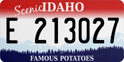 ID license plate E213027