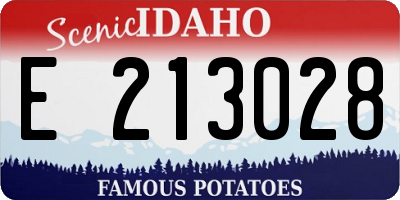 ID license plate E213028