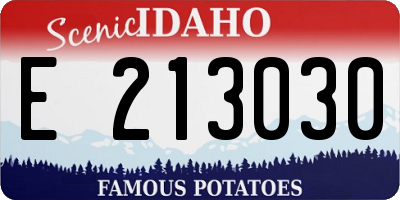 ID license plate E213030