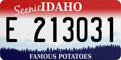 ID license plate E213031