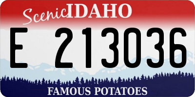 ID license plate E213036