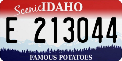 ID license plate E213044