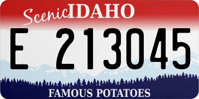 ID license plate E213045