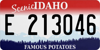 ID license plate E213046