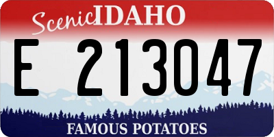 ID license plate E213047