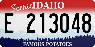 ID license plate E213048