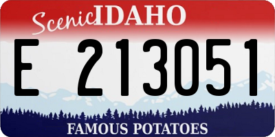 ID license plate E213051