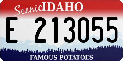 ID license plate E213055