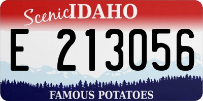 ID license plate E213056