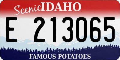 ID license plate E213065