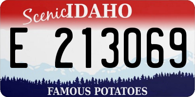 ID license plate E213069