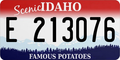 ID license plate E213076