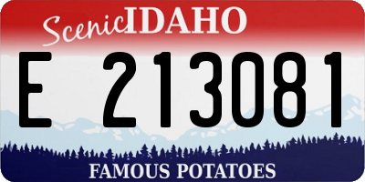 ID license plate E213081