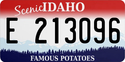 ID license plate E213096