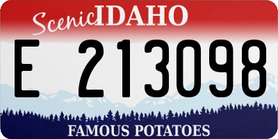 ID license plate E213098